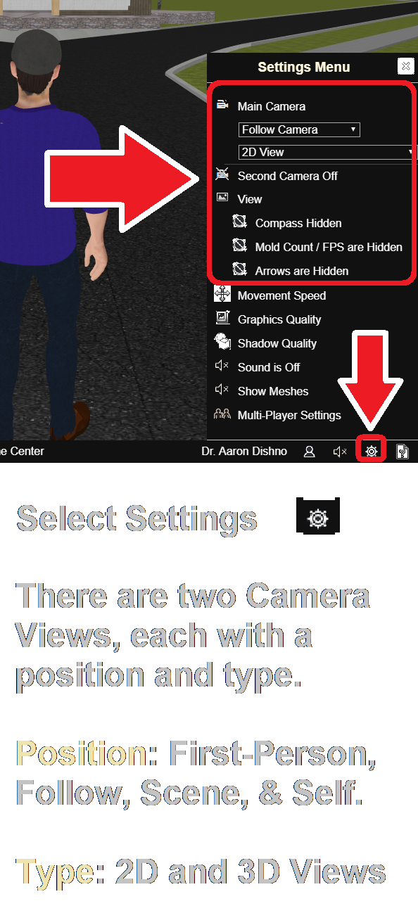 Camera Position and Views